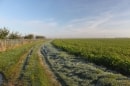 Entre Coulommiers et Saints